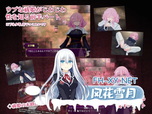 [RPG/PC] 退魔神官赫蕾恩与魔淫洞窟 退魔神官へレインと魔淫の洞窟 AI汉化 [573M]-4.jpg