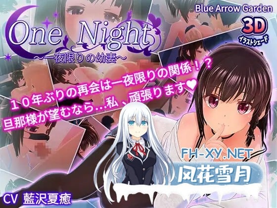 [3D/生肉/中出/巨乳/外射][RJ01249081/blue arrow garden社团]One Night～一夜限りの幼妻～[PC/195M]-9.jpg