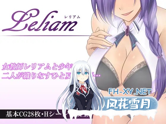 [RPG/魅魔/巨乳/小马拉大车/机翻][RJ387032/金色猫社团]Leliam -蕾丽娅姆/Leliam -レリアム-[Ver1.1+全CG][PC/1.60G]-4.jpg