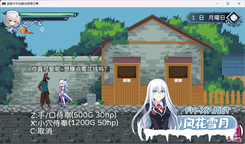 [ACT/官中/动态] 血族少女也能当圣骑士吗 血族の少女も聖騎士になれるのか[308m]-3.jpg