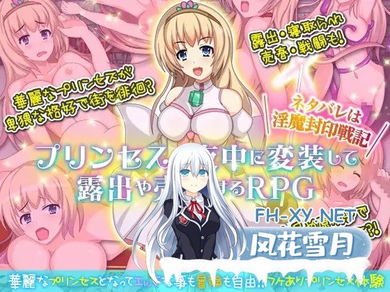 [RPG/精翻/露出/PC] 公主卖春奋斗记/プリンセスが夜中に変装して露出や売春するRPG [176M/夸克]-1.jpg