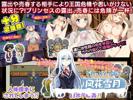 [RPG/精翻/露出/PC] 公主卖春奋斗记/プリンセスが夜中に変装して露出や売春するRPG [176M/夸克]-4.jpg