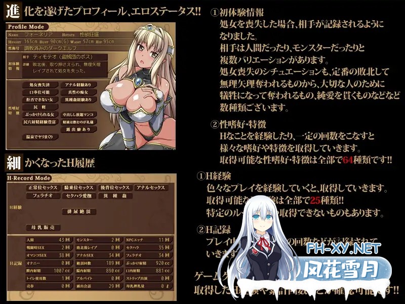 [RPG/STEAM官中/全动态/露出/NTR/巨乳][RJ173356/ONEONE1社团]暗精灵编年史/ダークエルフのヒストリア[Ver1.02][PC/1.5G]-3.jpg