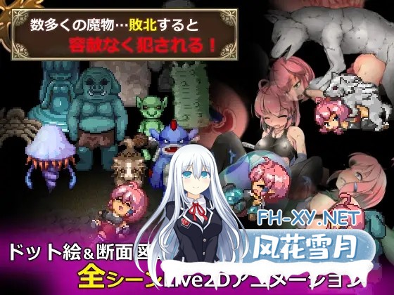 [ARPG/幻想/中出/羞辱/强X/异种X/STEAM官中/步兵]遗迹探索者/ルインズシーカー/Ruins Seeker[Ver1.0.3][PC/500M]-4.jpg