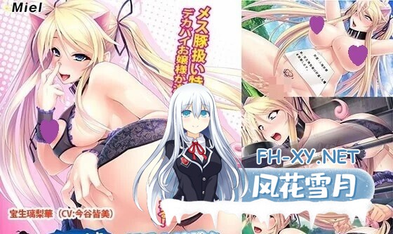 [ADV/拔作/母猪/爆乳/怀孕/汉化]Miel社109部大合集[PC+安卓84.4G]-4.jpg