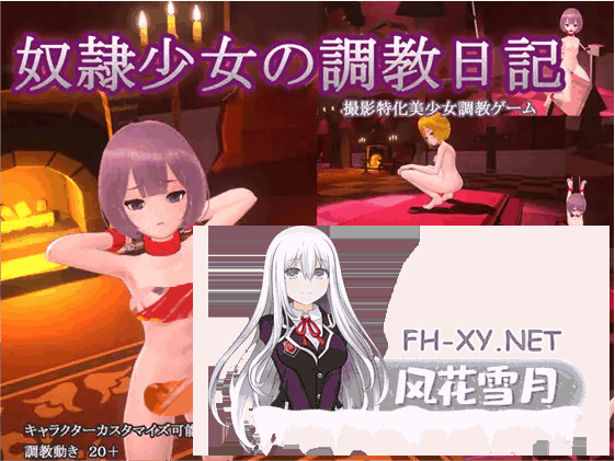 [SLG/官中/全动态]奴隶少女调教日记/奴隷少女の調教日記 Ver1.1 官方中文版[388M]-1.png