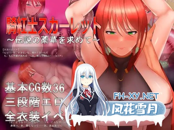 [日式RPG/汉化/哦齁向]骑红士斯卡蕾特 寻找传说药草 騎紅士スカーレット～伝説の薬草を求めて ddtzz汉化润色修复版 V1.05 [950M/CV]-2.jpg