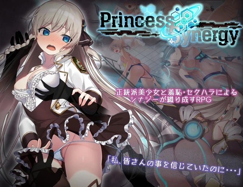 [PC][神级RPG/汉化/更新/2D]公主协同效应 プリンセスシナジー Princess Synergy v1.09c 内嵌汉化版+全CG存档 [2.14GB]-1.jpg